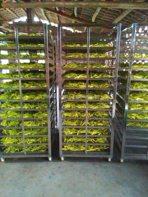 黃花菜烘干機(jī)、黃花菜烘干設(shè)備、黃花菜干燥機(jī)、黃花菜干燥設(shè)備、